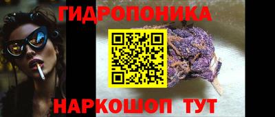 молекула духа Шахты