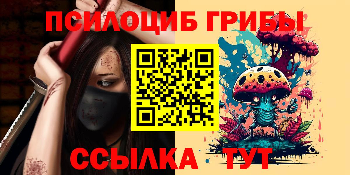 Псилоцибиновые грибы мицелий Большой Камень