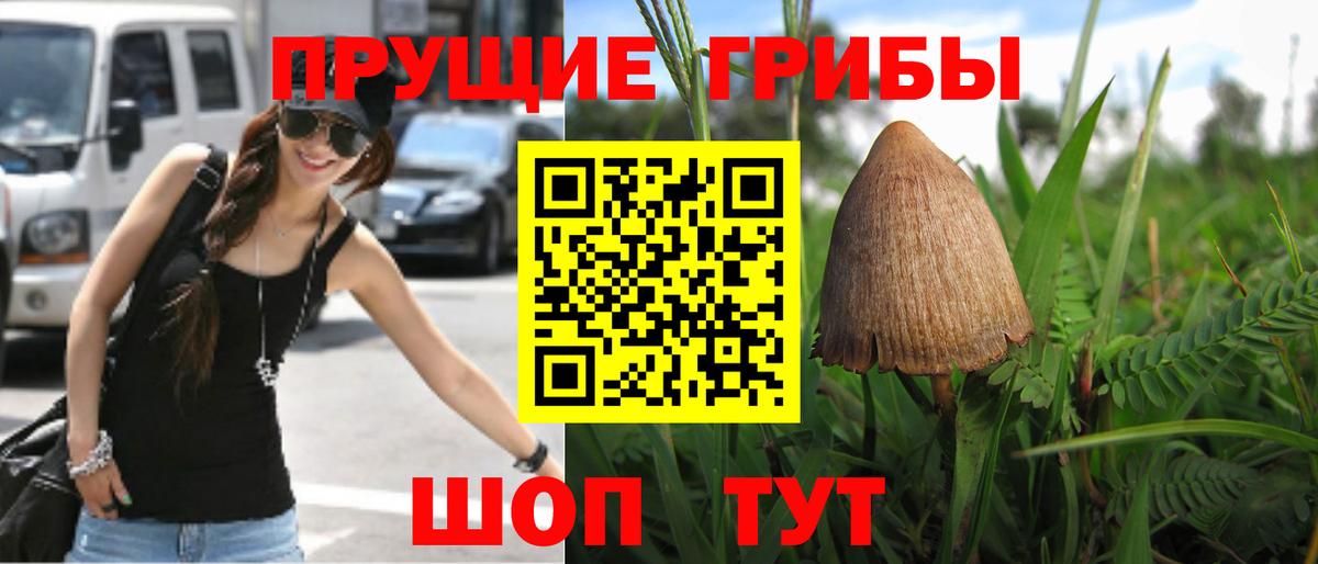 Галлюциногенные грибы Magic Shrooms  Вход с VPN  Псилоцибиновые грибы мухоморы  Большой Камень 